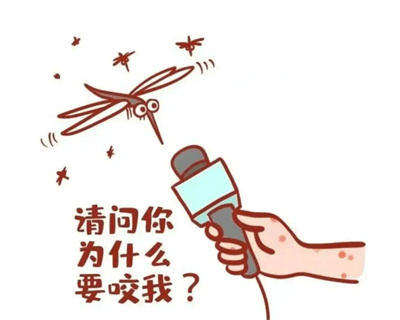 图片细节